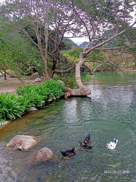 四訪苗栗的花果山-小百岳#037馬那邦山、雪霸國家公園管理處【小百岳集起來、苗栗-臺灣百大必訪步道】2394382