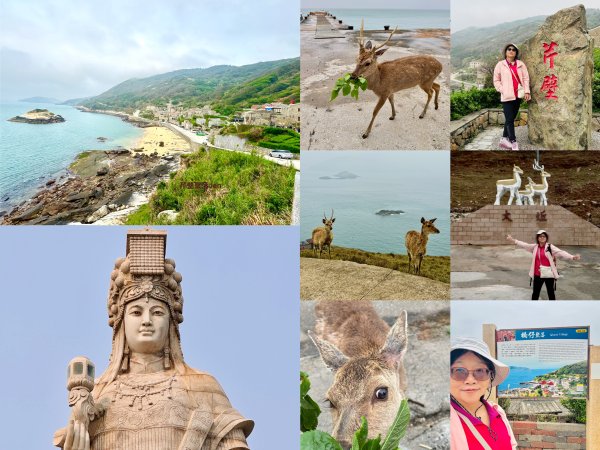 馬祖四鄉跳島漫遊 D4 北竿鄉/大坵梅花鹿島 北竿