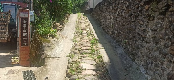 保甲古道+東森步道=美麗的花兒，綠綠的草地1747183