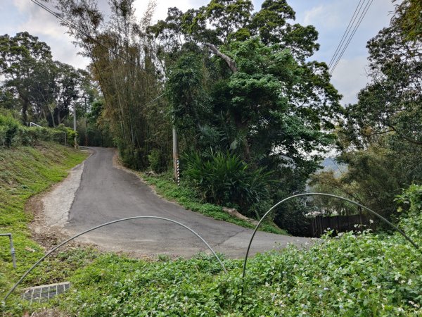 2024.03.24 飛鳳古道2908479