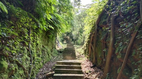 瑞芳區琉榔路觀光步道-小粗坑古道(小粗坑山+粗坑口山)3053292