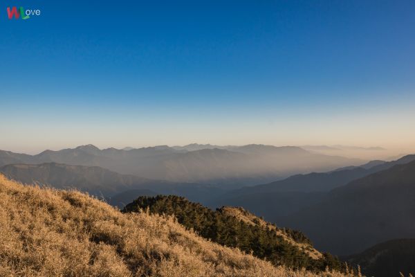 WL 愛旅行【桃山】299648