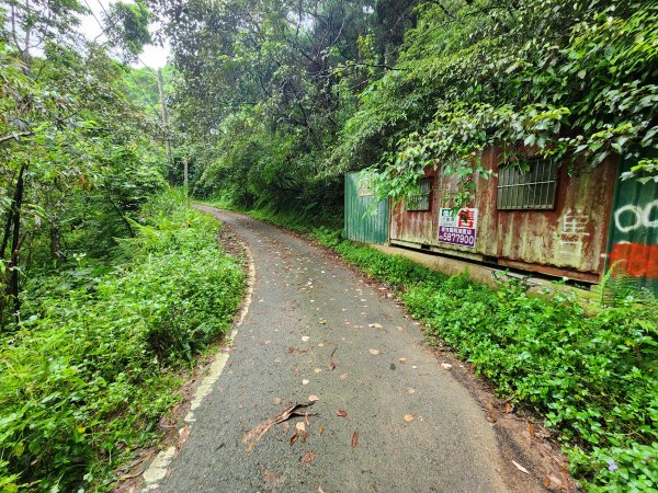 20250427大山背山田寮山毬子山騎龍山2933642