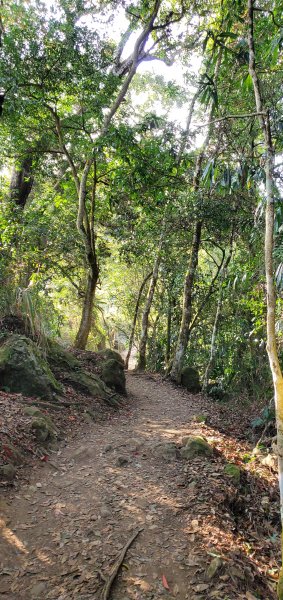 2023-03-12馬那邦山登山步道2065836