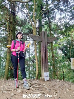 【新竹竹東】五指山登山步道3004812