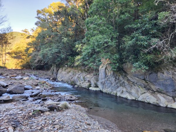 【中級山縱走】羅馬縱走，走進神木的夢幻童話森林世界2943263