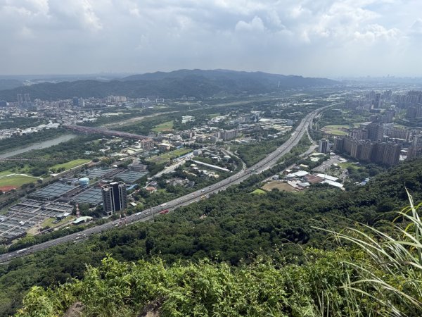 2025/06/26 鳶山 鳶山彩壁 鳶尾山3038637