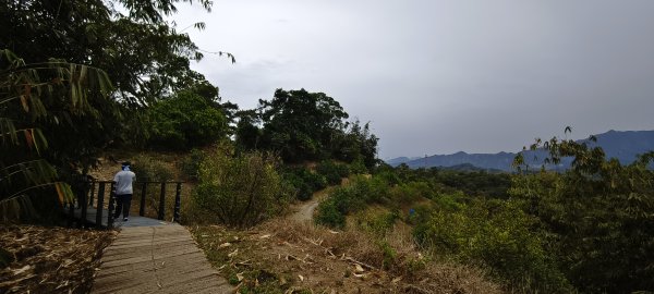 2026/02/27-荷苞山登山步道3010045
