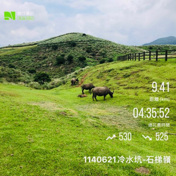 1140621冷水坑-擎天崗-石梯嶺2817710