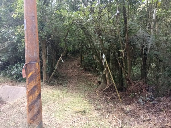 雙溪區打鐵寮山-鶯子嶺-坪溪山-烏山63號-烏山越嶺古道(坪溪山北峰)P字走