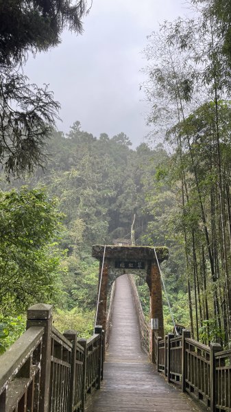 溪頭景觀步道2468840