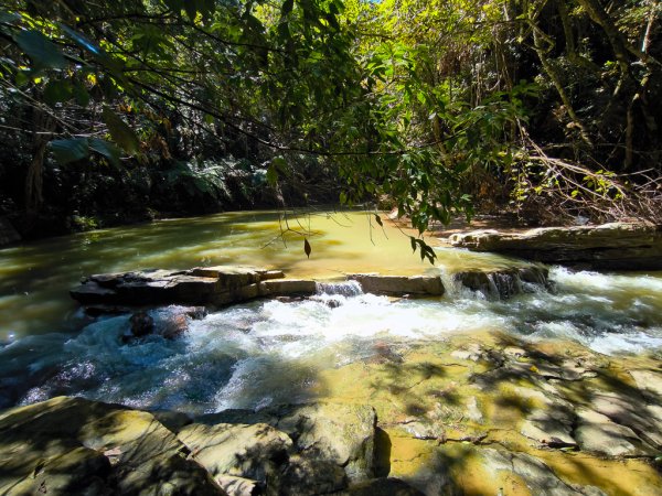 2024-08-22 澀水森林步道2578452