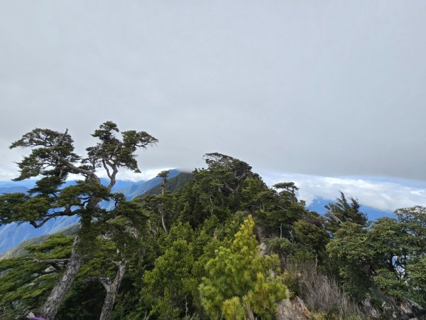 北大武山（喜多麗斷崖）雲海、雲霧、耶穌光之美2467685