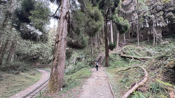 眠月線健行2992999