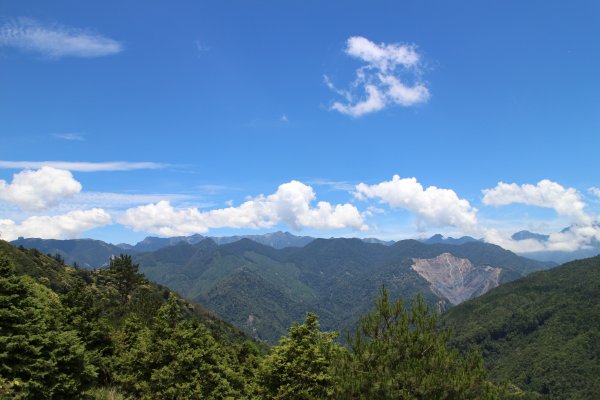 觀霧雲霧步道 20150619684892