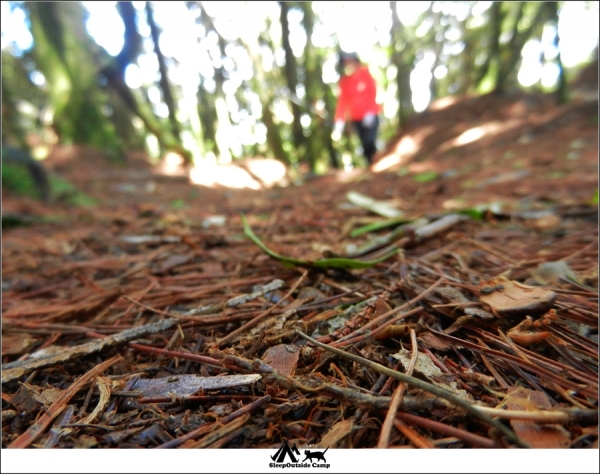 台中和平鳶嘴山稍來山O型縱走260367