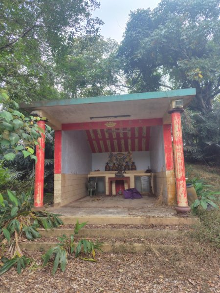 大棟山系南段 水利古道西口 上 竹高崙山 連走 鳥子嶺 坑仔內山 大崖山 下 龍目井農場2953180