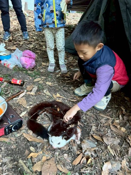 🌈11/22（六）-23（日）霞喀羅古道全段✨FB：熊熊趴爬走🌈2944605