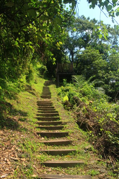 花蓮．佐倉 撒固兒步道2023/04/292164658