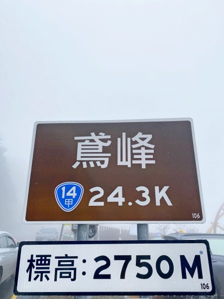 合歡銀白北國風情追雪趣 20211111235447