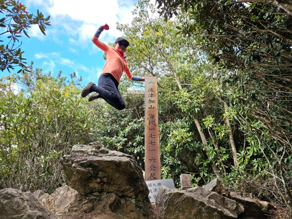 【谷關七雄】波津加(H1771.6m)肉腳配速成功2670487