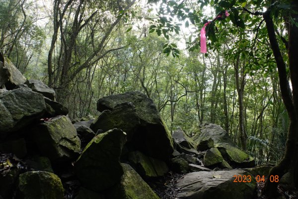 苗栗 泰安 虎山2107199