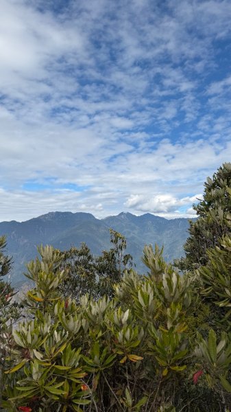 埔里六秀 《有勝山 2105m》2025 12/132961246