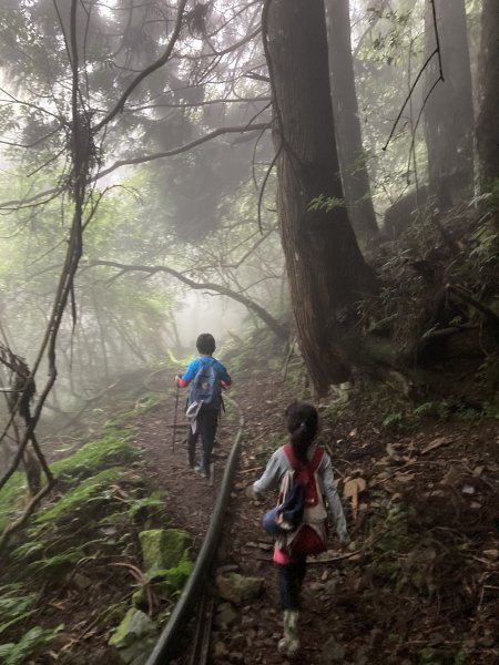 晴空加里山雲裡杜鵑嶺霧裡尋鐵道1146728