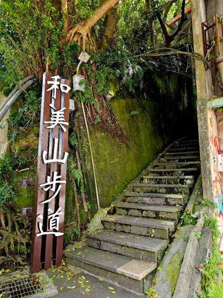 (二格山系)和美山螢火蟲-2025微笑山線大縱走尋寶集章任務2855244