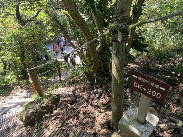 2025微笑山線大縱走尋寶集章任務-Ep.02【大棟山系】百年大榕樹2882270