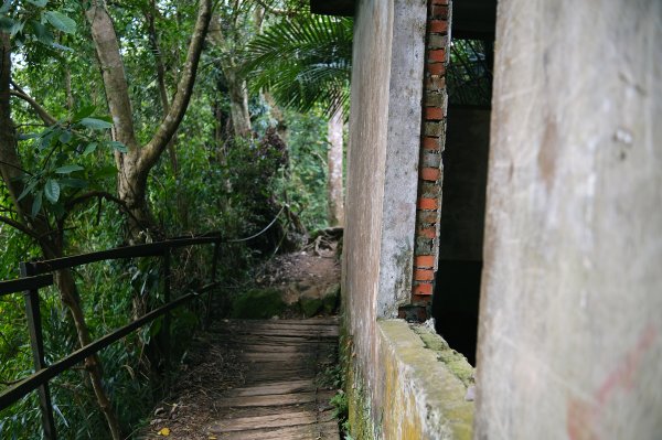 打鐵寮古道.白石山2752906