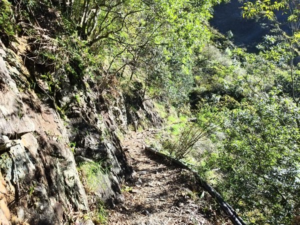 [玉山尋寶任務-07/12] 2025_0824 八通關雲龍瀑布步道2870642