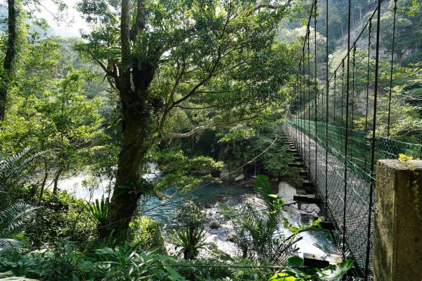 新北 烏來 山車廣山、檜山2567419