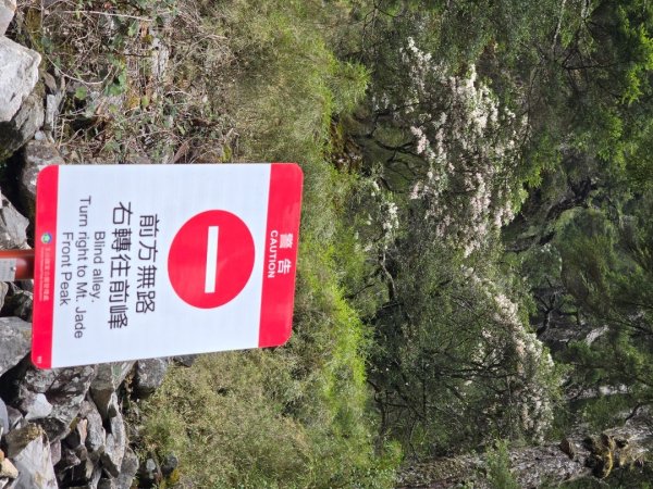 終於看到1000元背面的山景登頂玉山北峰／前峰2495874