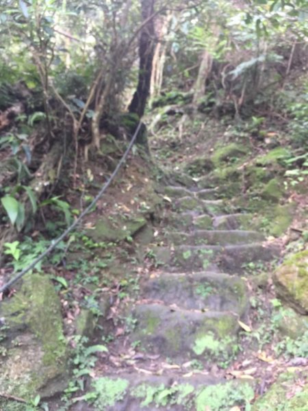 天上山縱走圓通寺483290