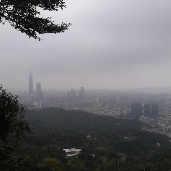 麗山橋步道1865327