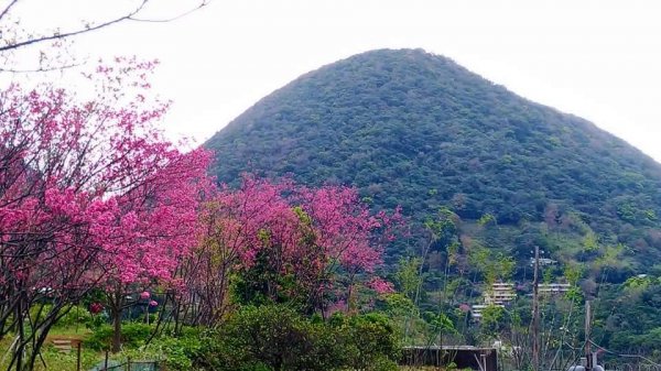 十八份拐圳步道526045