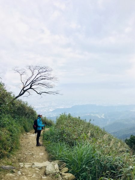 宜蘭礁溪聖母山莊+小百岳三角崙山527287