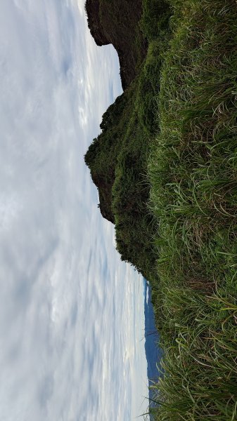 楊廷理古道2814580