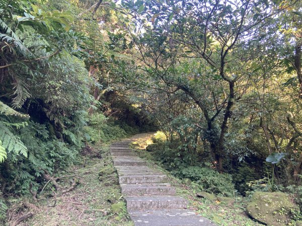 五分山登山步道2373507