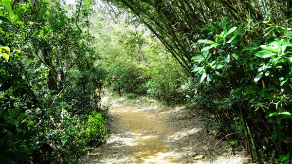 今天，我想來點飛鳳山，叮咚。1142046