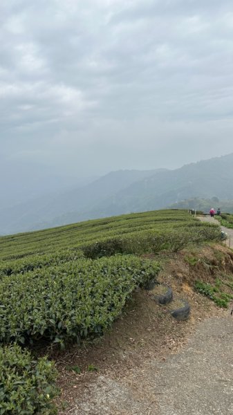 雲嘉連峰/青年嶺/水社寮2750444