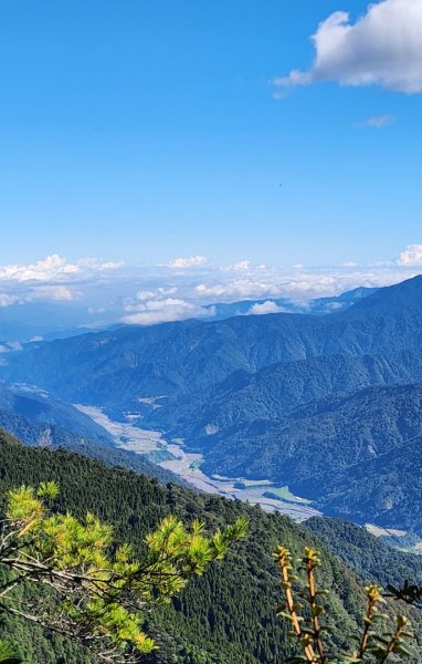 【中級山縱走】羅馬縱走，走進神木的夢幻童話森林世界2943197