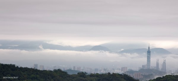 #陽明山 #琉璃光 #紅斑蛇 #新店四十份 #雲瀑 #翡翠水庫壩頂 #日出 #雲海 4/16&183037633