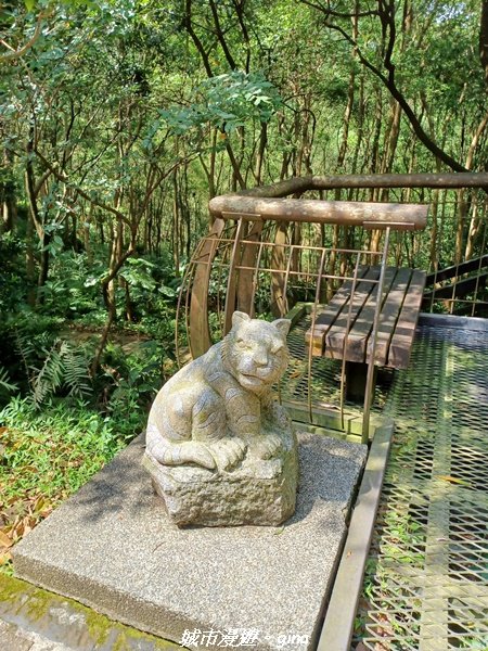 【台北信義】搭捷運爬山趣。 小百岳集起來。編號13小百岳-南港山步道1755561