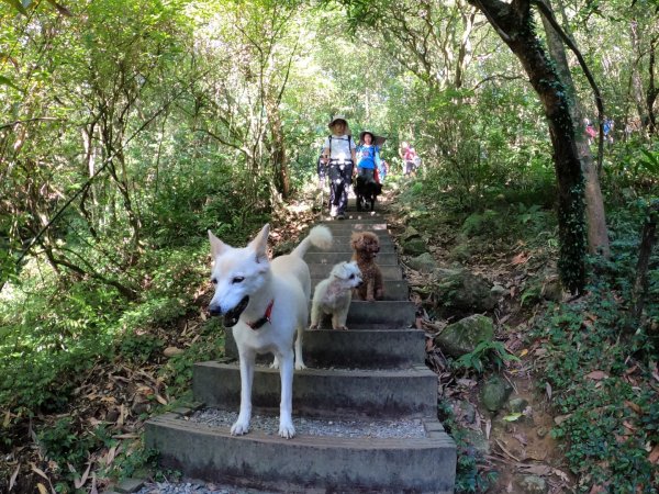 1090906家庭日，絹絲瀑布步道1093811