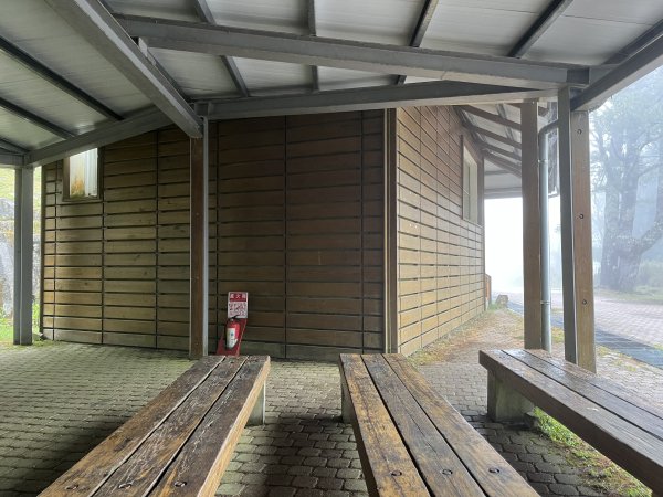 鹿林山-鹿林前山-真鹿林山-石水山-石水山基點峰 2025.5.252798414