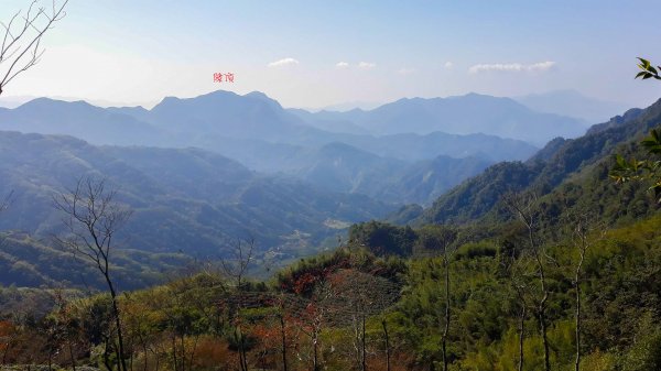 步道巡訪員│四大天王山步道二月巡訪日誌820784