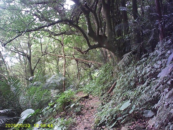內灣南坪古道、馬胎古道及內灣O繞，順道拜訪位移總督府交通局遞信部基石。3067406
