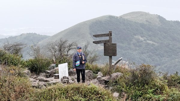 新北金瓜石無耳茶壺山+半屏山+燦光寮山O繞健走兼賞芒花趣！